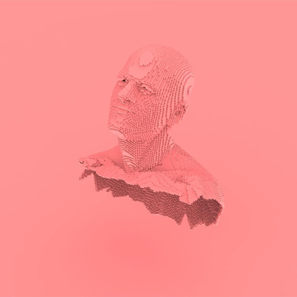 3D voxel portrait render